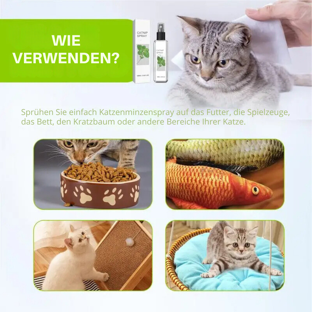 Katzenminzenspray Anwendung, Katzen spielen und entspannen, Kratzbaum, Spielzeug, Bett.