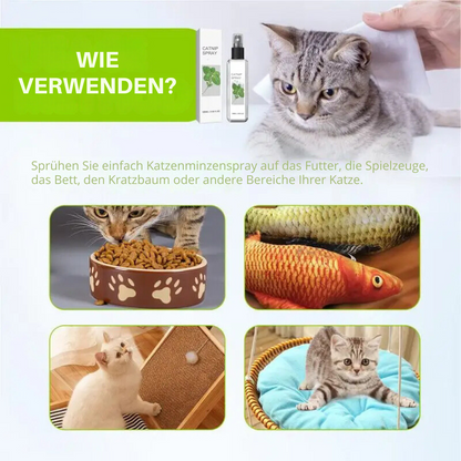 Katzenminzenspray Anwendung, Katzen spielen und entspannen, Kratzbaum, Spielzeug, Bett.