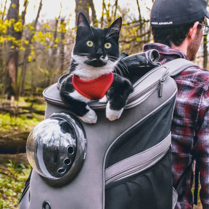 Grauer Katzenrucksack mit Hublot, atmungsaktiv, ideal für Reisen und Outdoor-Aktivitäten.
