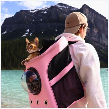 Mann mit rosa Katzentragetasche am See, Berglandschaft im Hintergrund.