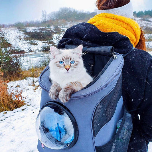 Faltbarer Katzenrucksack grau, Winter, mit Sichtfenster, für Outdoor-Abenteuer im Schnee.