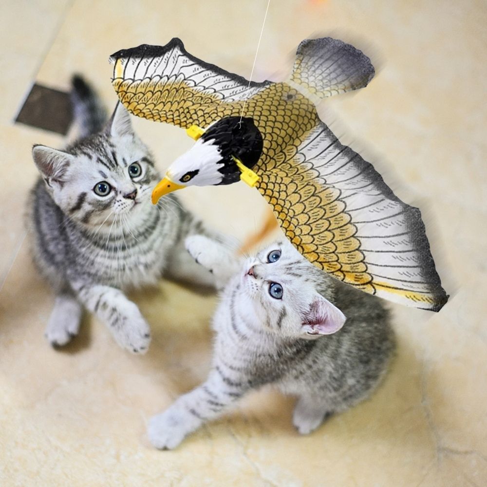 Zwei graue Kätzchen spielen mit einem fliegenden Adler-Spielzeug im Wohnzimmer.