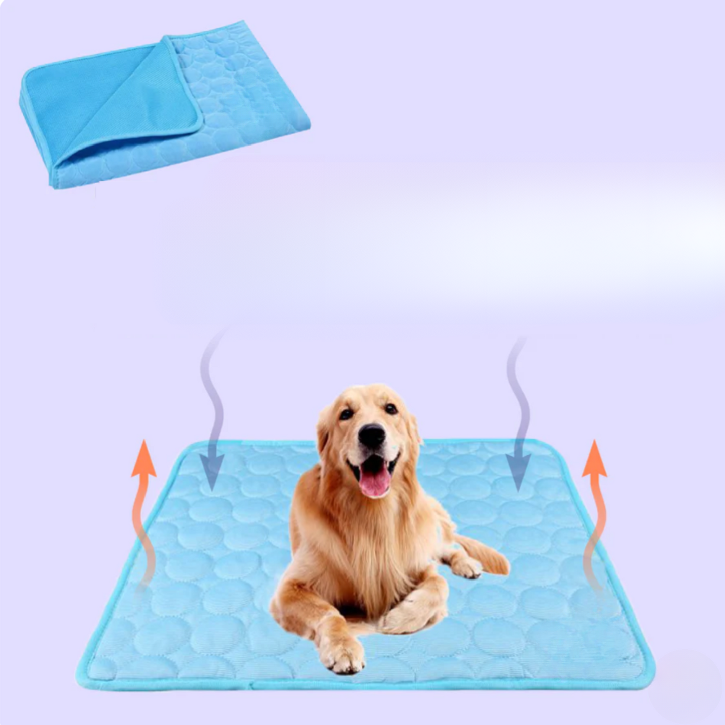 Hundekühlmatte blau, Golden Retriever, Sommer, Haustierkühlung, atmungsaktiv, waschbar