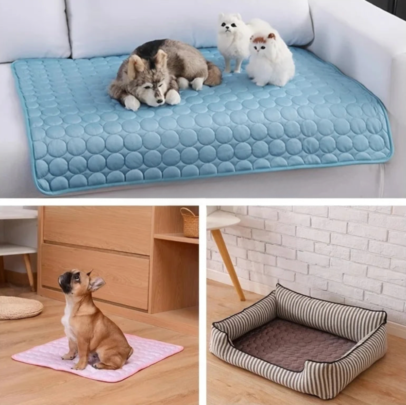 Hundekühlmatte blau auf Sofa, Hundekissen rosa, gestreiftes Hundebett braun, Haustierbedarf.
