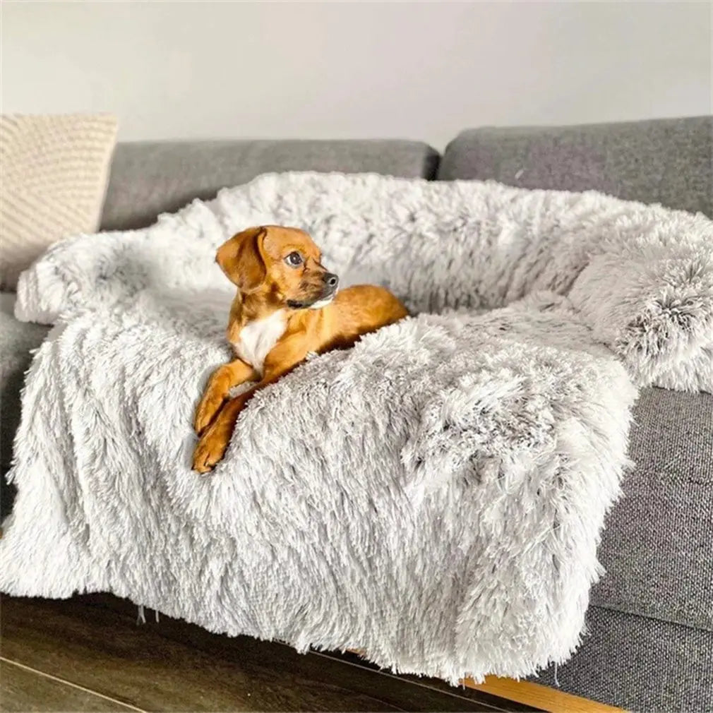 Kleiner Hund auf grauem, flauschigem Hundebett auf Sofa, gemütlich, Haustierkomfort.