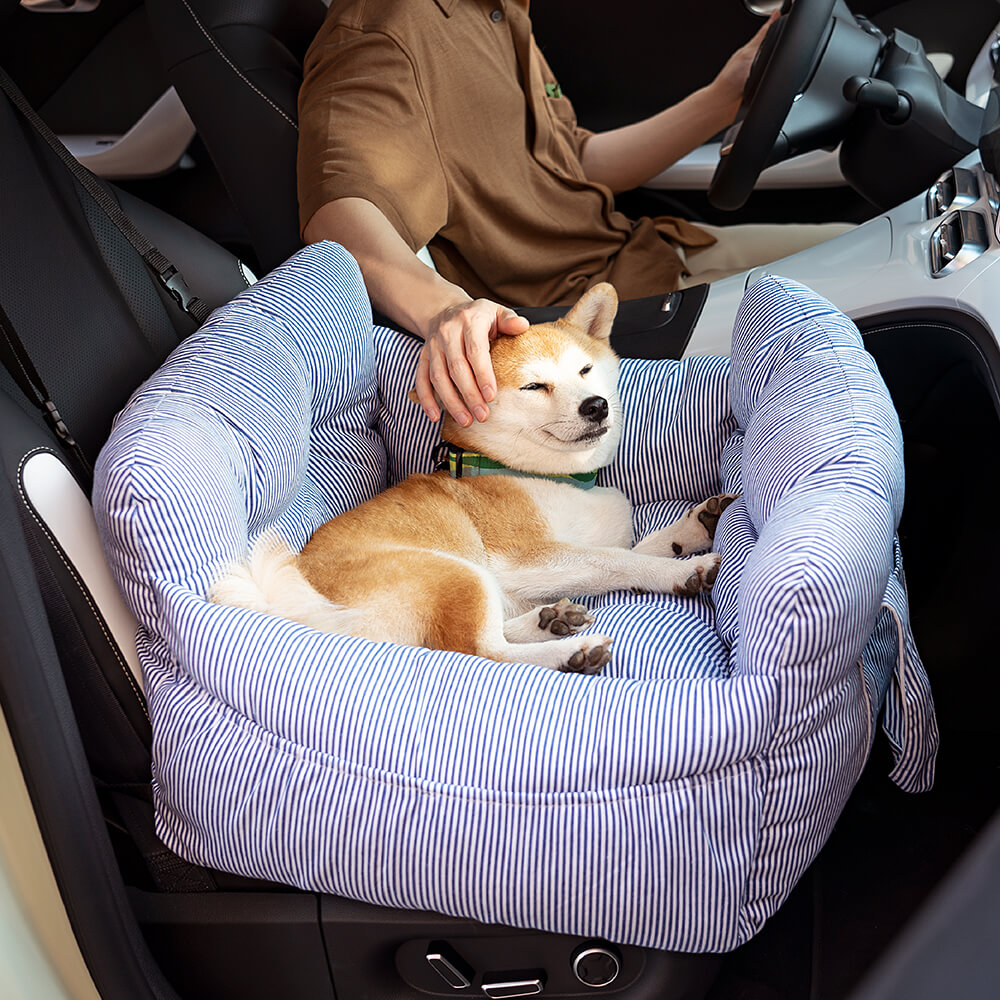 Hund in gestreiftem Haustierkissen im Auto, gemütlich, blau-weiß, bequem, Reisebett.