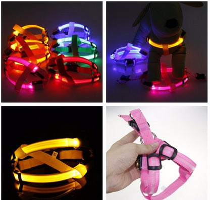 LED-Hundegeschirr in verschiedenen Farben, leuchtend, für Sicherheit bei Nachtspaziergängen.