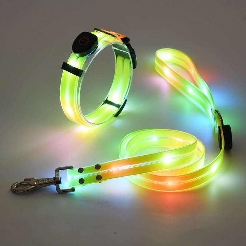 Leuchtendes LED-Hundehalsband und Leine, mehrfarbig, für Nachtspaziergänge, sicherheitsfördernd.