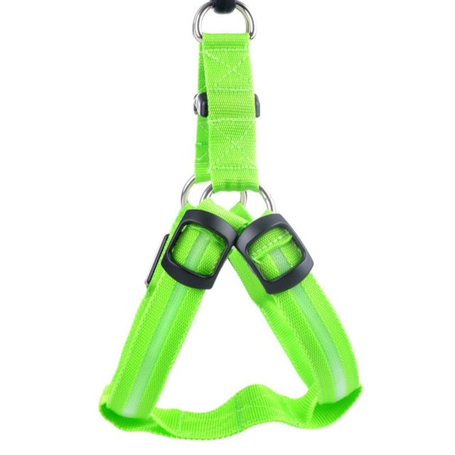 Grünes Hundegeschirr, verstellbar, reflektierend, Nylon, für kleine bis mittelgroße Hunde.