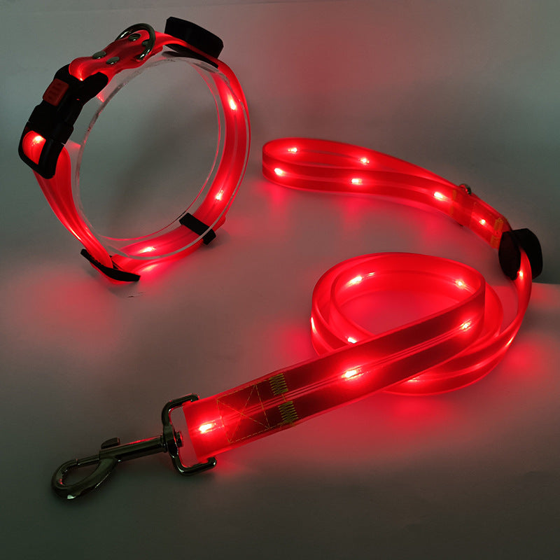 Leuchtendes LED-Hundehalsband und -leine, rot, für Sicherheit bei Nachtspaziergängen.