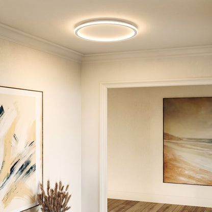Tänd ringlampa i taket i en hall med ljusa väggar, taklist, tavlor och en vas med torkade strån. 3