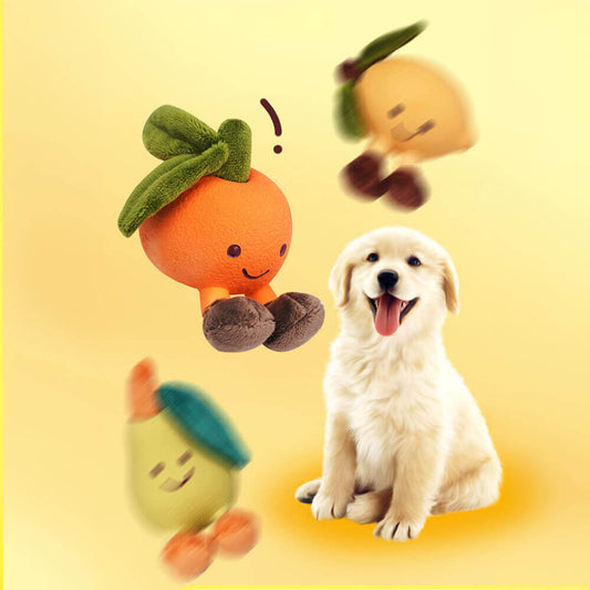 Hund mit lustigem, quietschendem Frucht-Plüschspielzeug, Latex, Zahnpflege, orangefarben.