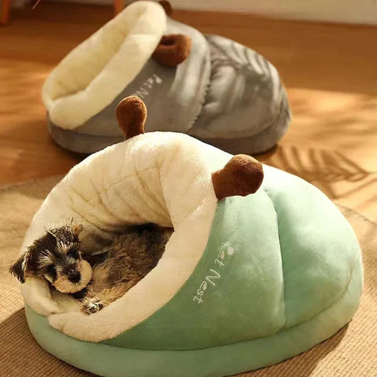 Grünes Hundebett in Pantoffelform, waschbar, atmungsaktiv, mit kleinem Hund, gemütlich.