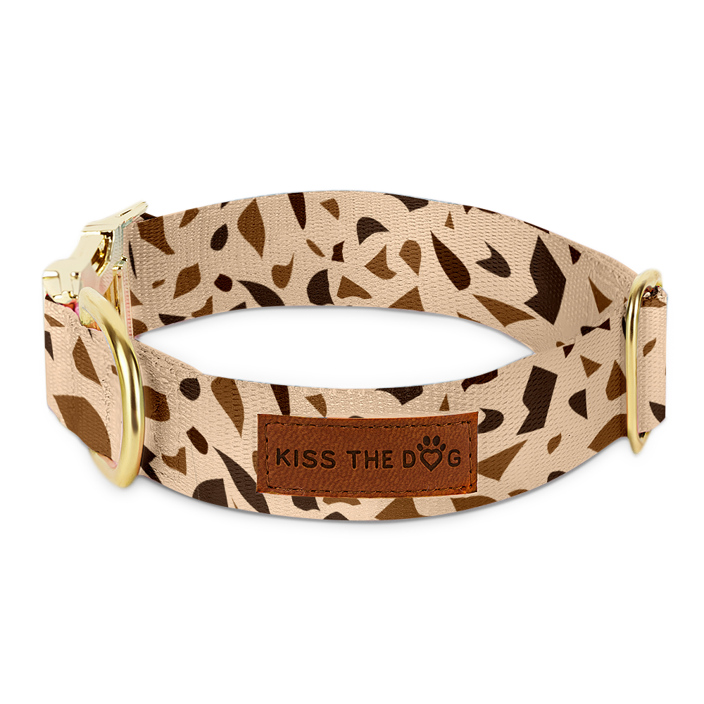 Hundhalsband med gyllene accenter – GoldenTerra