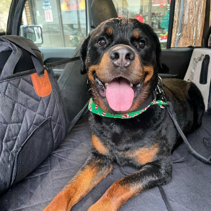 Rottweiler ligger leende på det svarta, quiltade skyddet i baksätet, med nätficka och orange läderflik synliga bredvid. 3