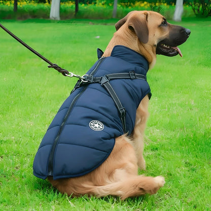 Stor brun hund sitter i gräset i marinblå vadderad jacka med sele, kopplet fäst i ryggens D-ring. 2