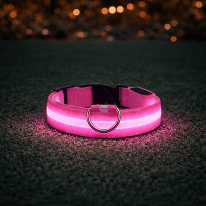 Rosa halsband med lysande LED-rand liggande på gräs i mörker, med suddiga ljuspunkter i bakgrunden. 7
