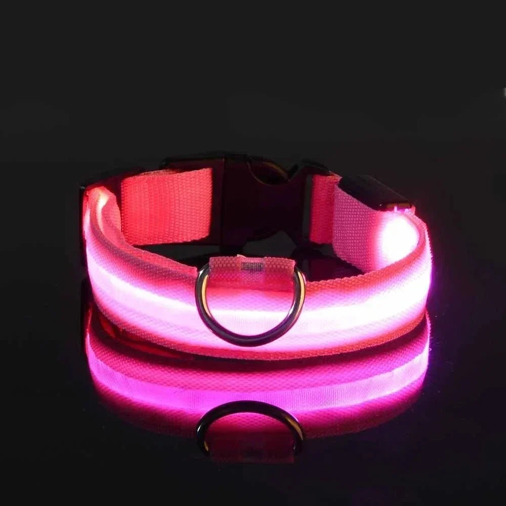 Rosa halsband med lysande LED-rand mot svart bakgrund, med D-ring av metall och spegling i underlaget. 5