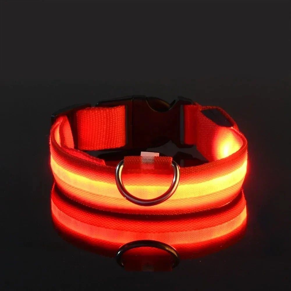 Orange halsband med lysande LED-rand mot svart bakgrund, med D-ring av metall och spegling i underlaget. 8