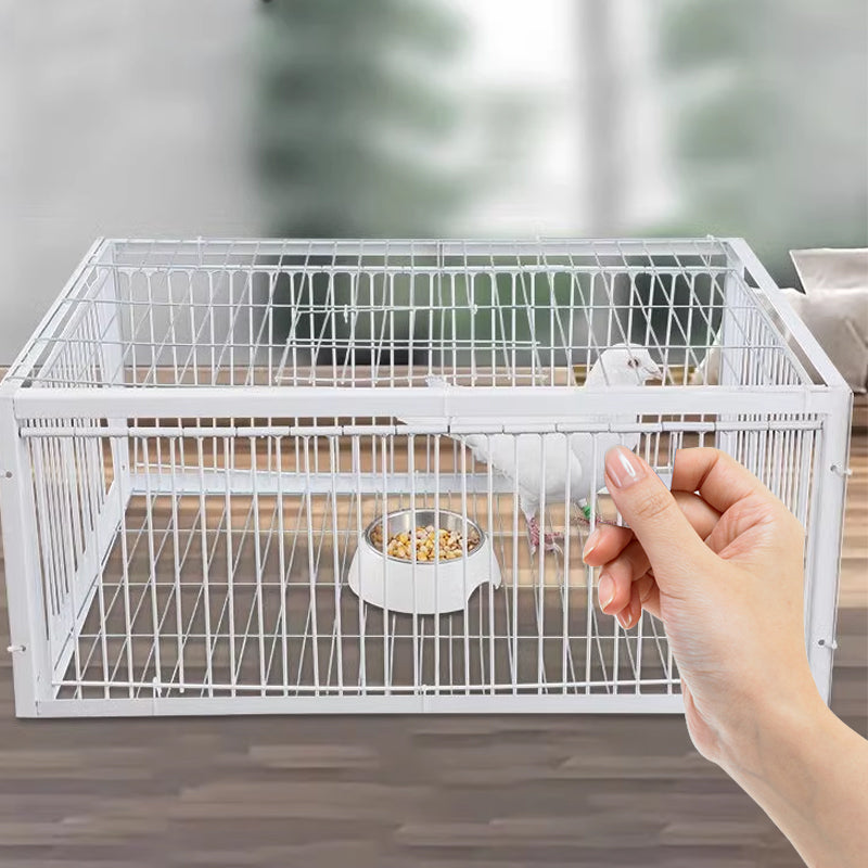 Skonsamma fångstfällor för fåglar med återgångssäkerhet – BirdSafe-fälla