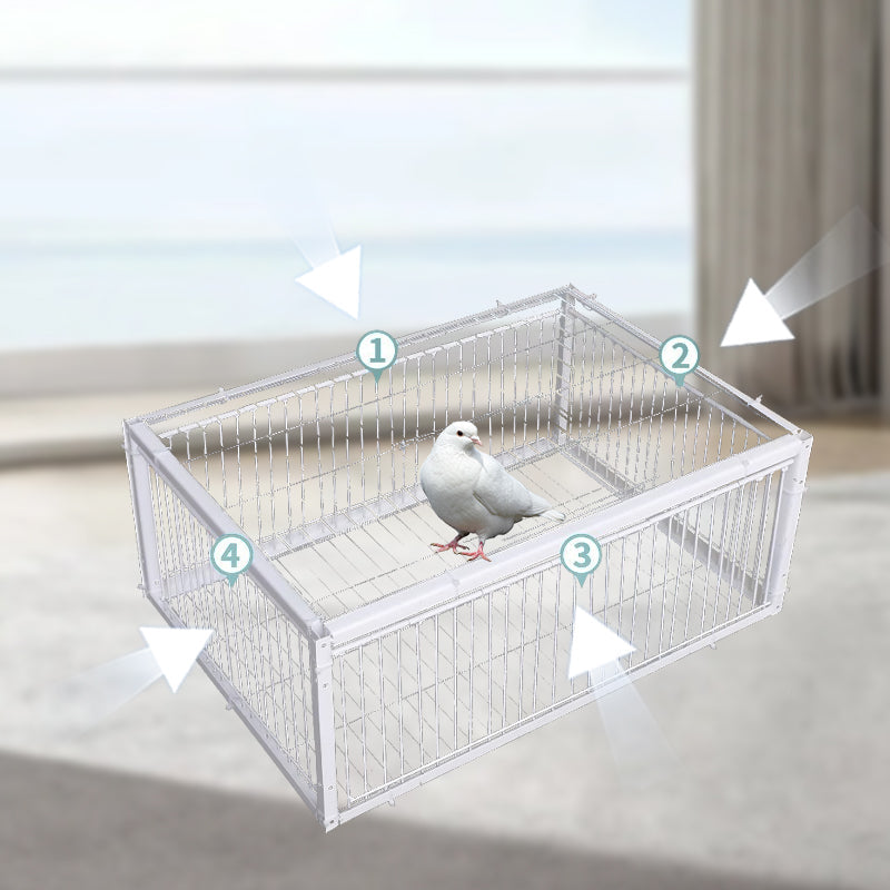 Skonsamma fångstfällor för fåglar med återgångssäkerhet – BirdSafe-fälla