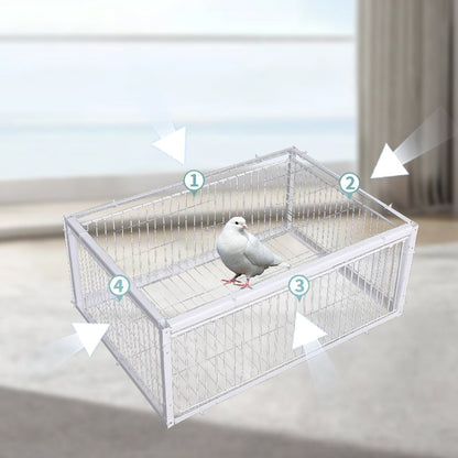 Skonsamma fångstfällor för fåglar med återgångssäkerhet – BirdSafe-fälla