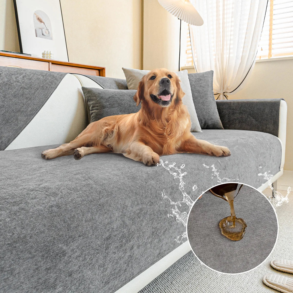 Golden retriever ligger på en grå soffa med överdrag, med en rund inzoomning som visar vätska som ligger kvar på tyget. 9