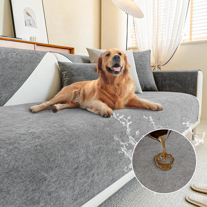 Golden retriever ligger på en grå soffa med överdrag, med en rund inzoomning som visar vätska som ligger kvar på tyget. 9