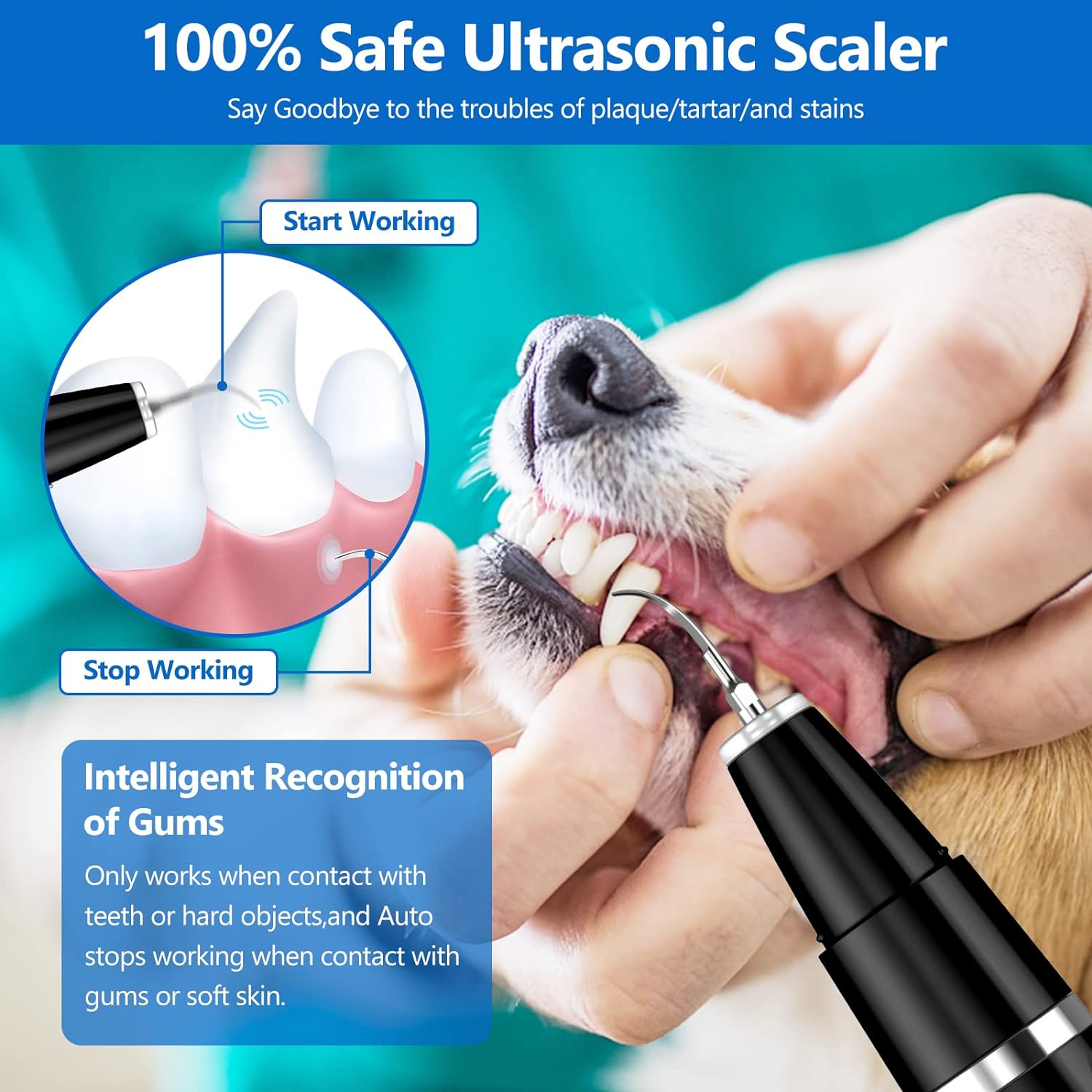 Ultraschall-Zahnreiniger für Hunde, sicher, Plaque-Entferner, Zahnstein, Tierpflege.