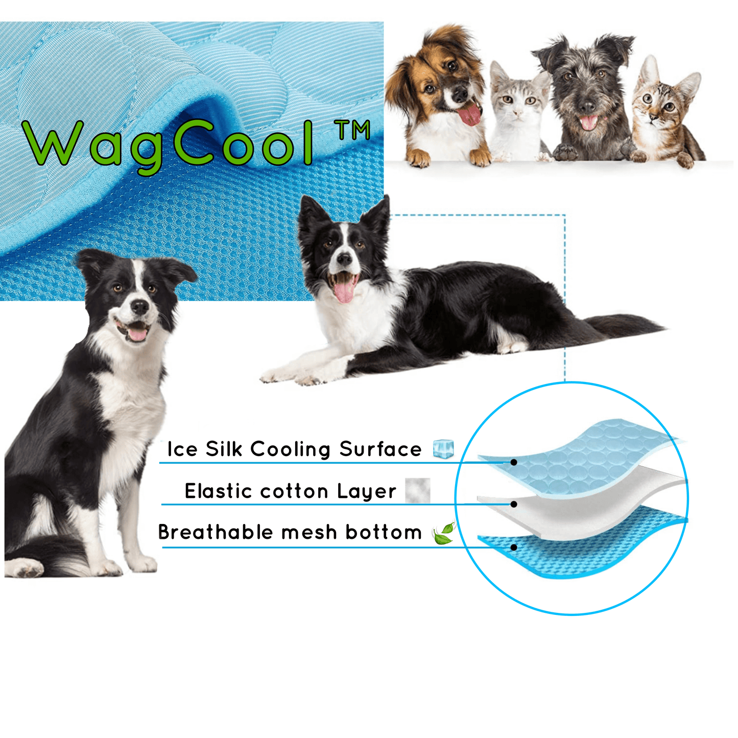 Kühlmatte für Hunde, blau, Eisseide, atmungsaktiv, elastisch, Haustierbedarf, Sommer.