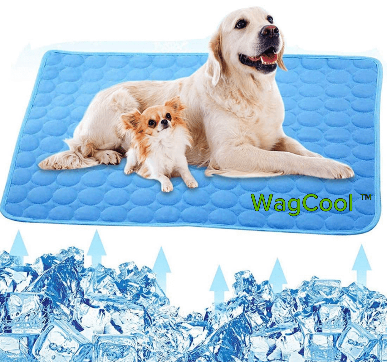 Blaue kühlende Hundematte 40x30cm, ideal für kleine Hunde, Sommer, Pantino.